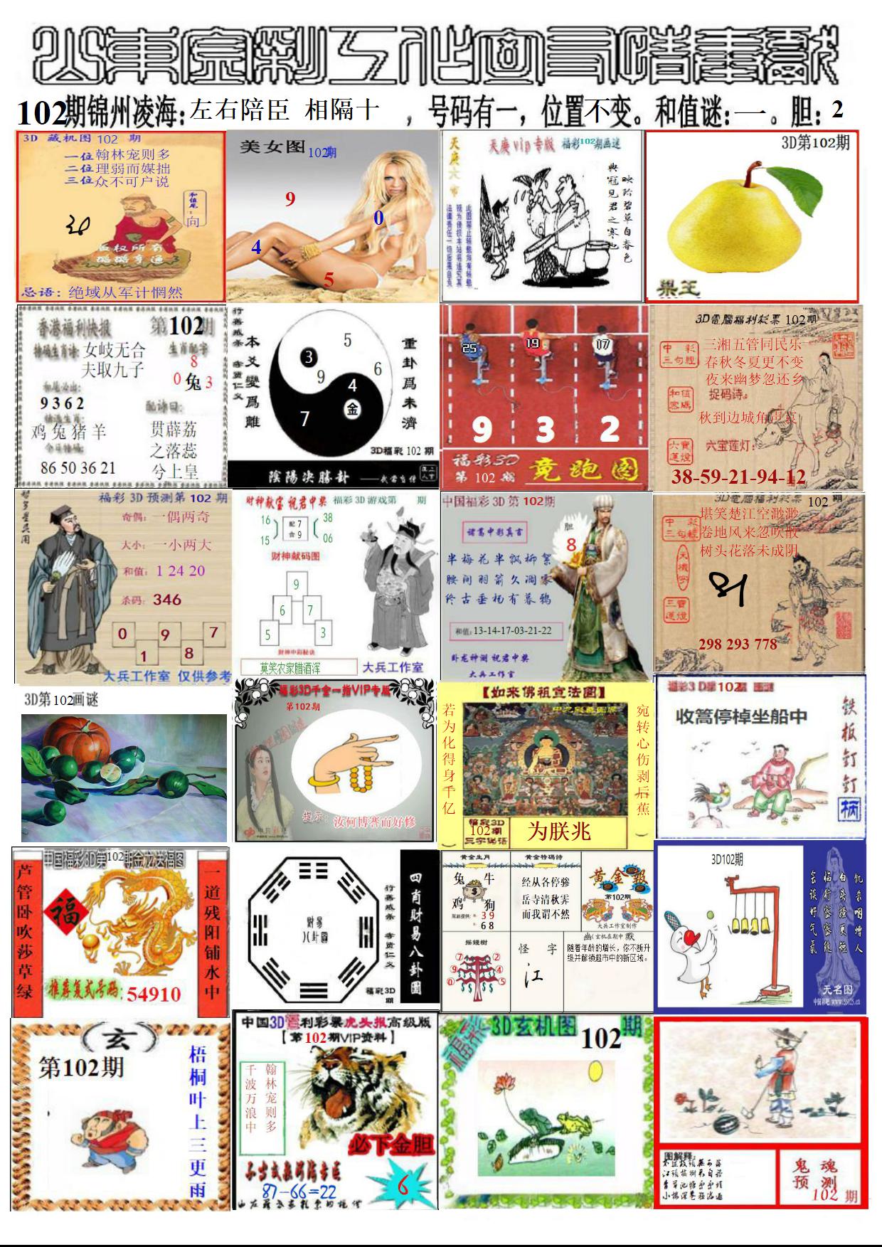 山东金彩