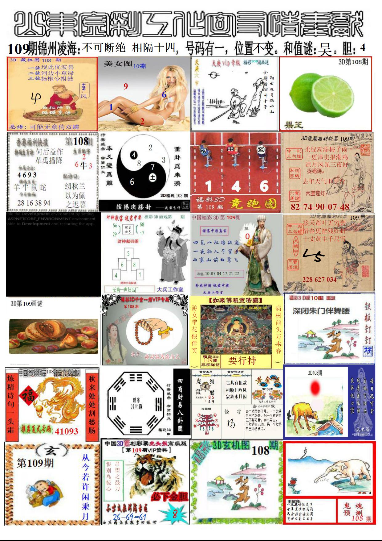山东金彩