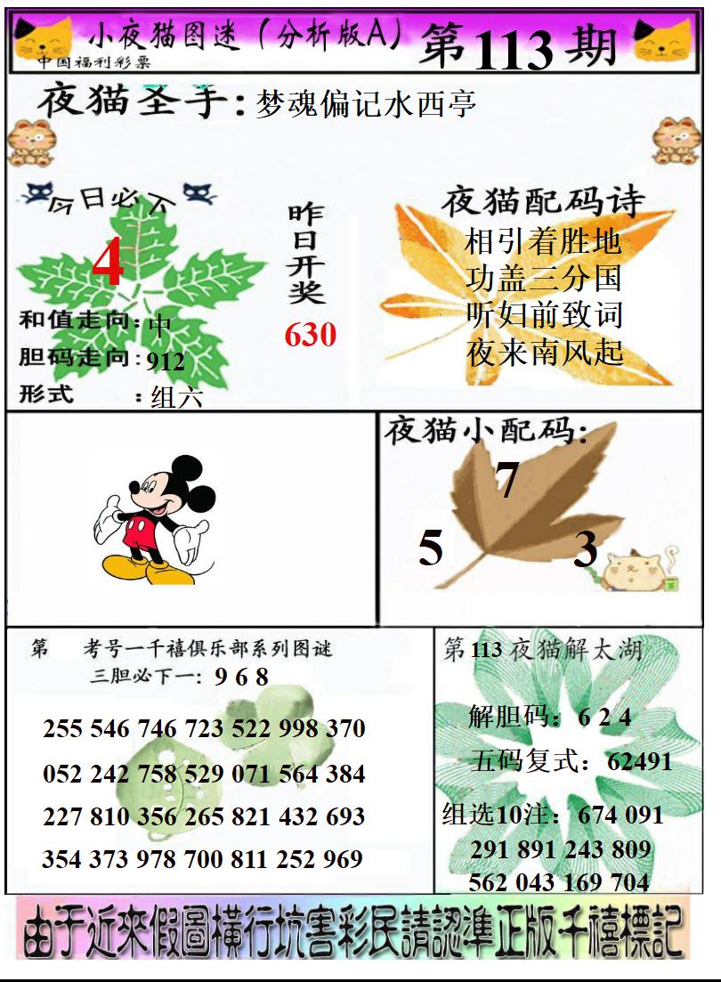 真小猫A