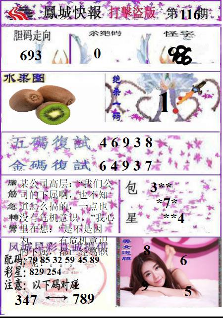 凤城打黑B版