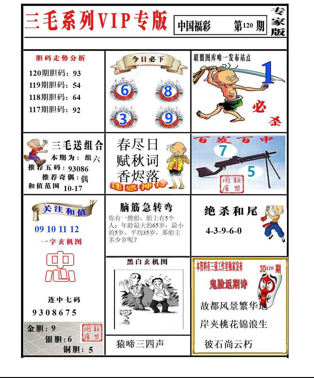 三毛专家版