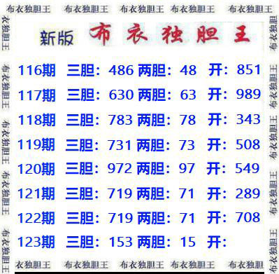 布衣独胆王