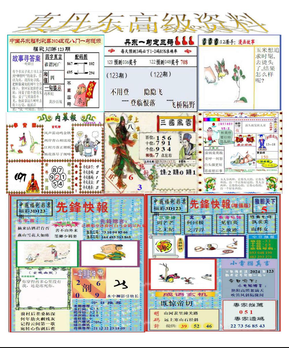 真丹东高级资料