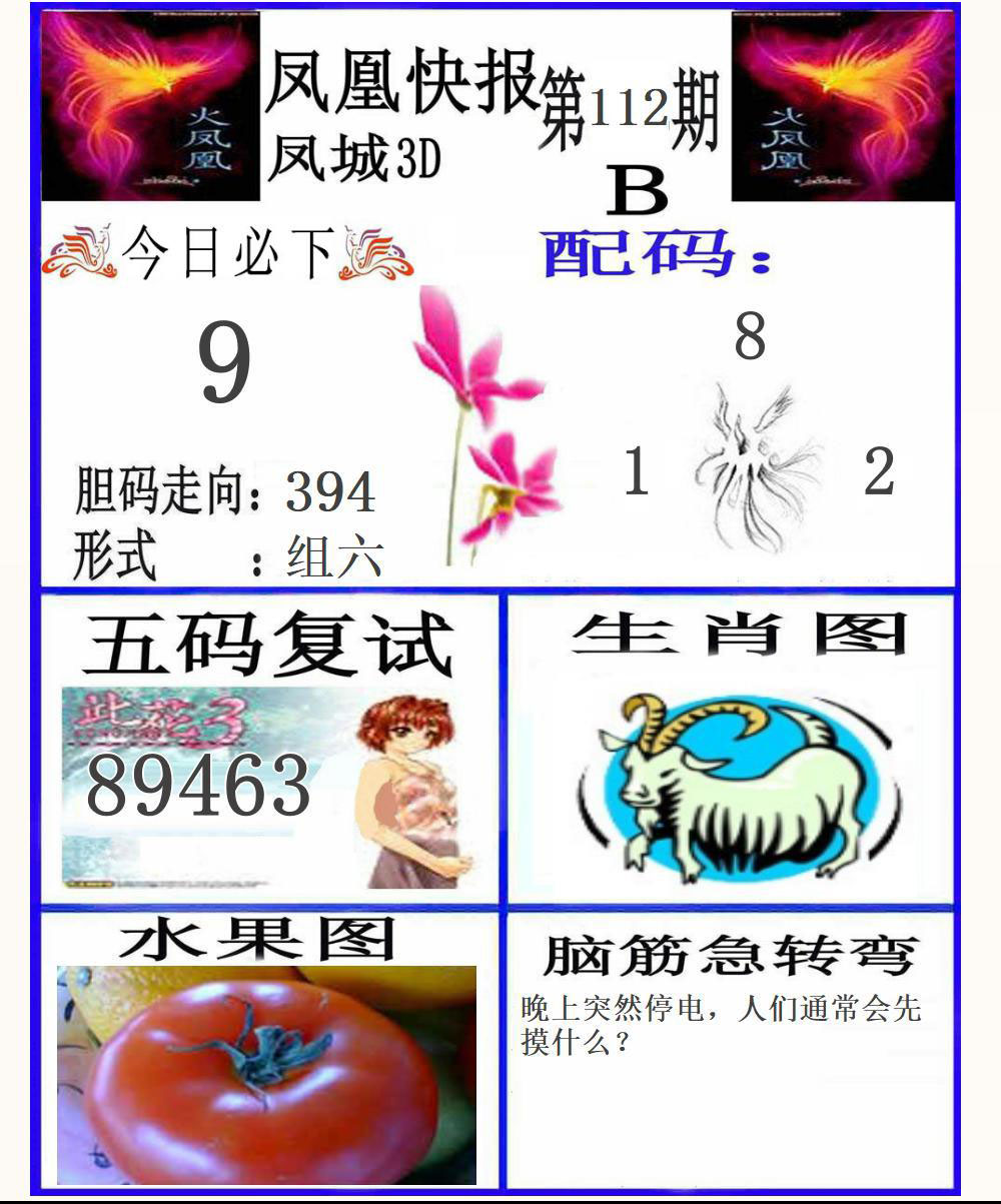 3D凤凰快报B版
