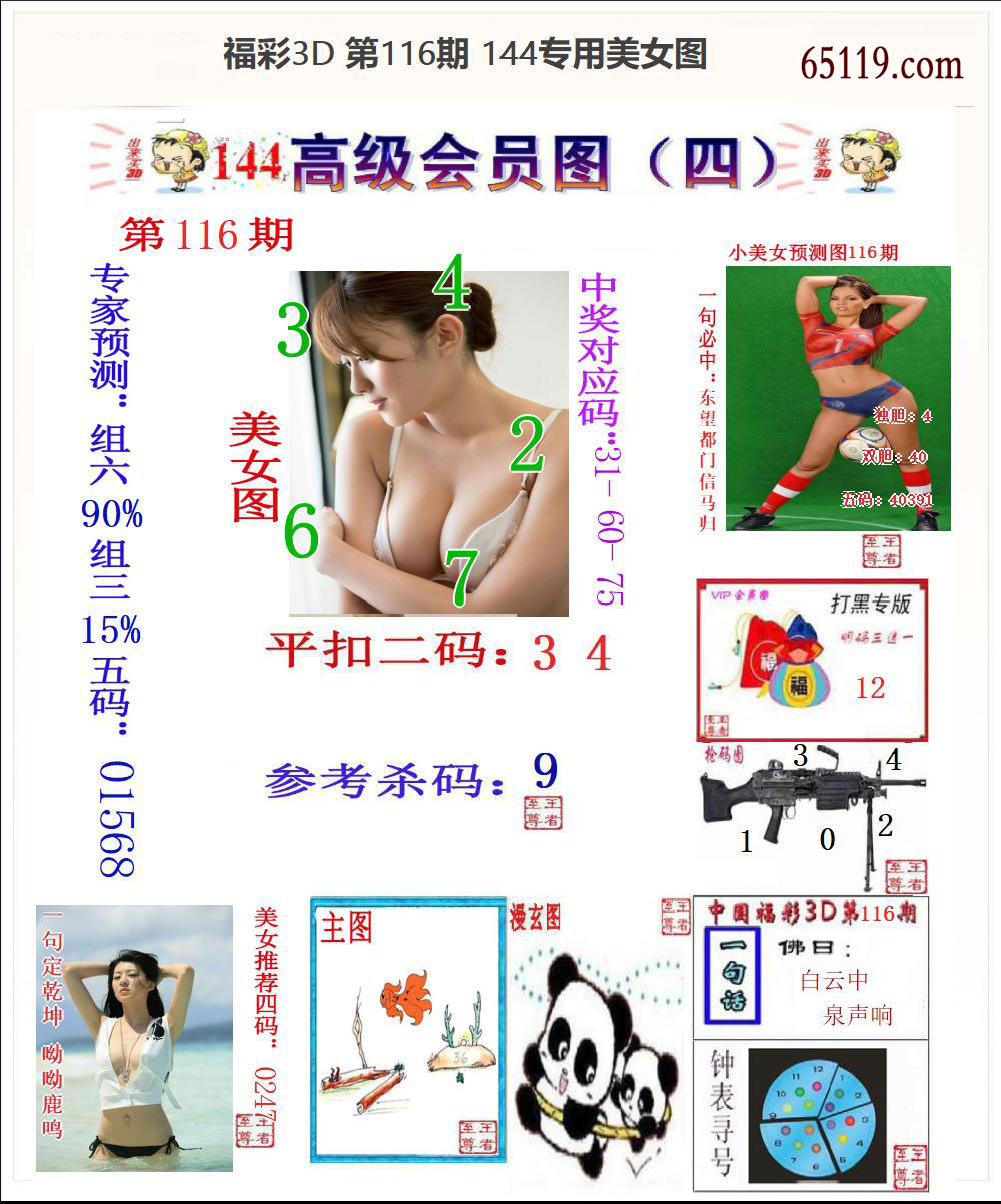 144专用美女图