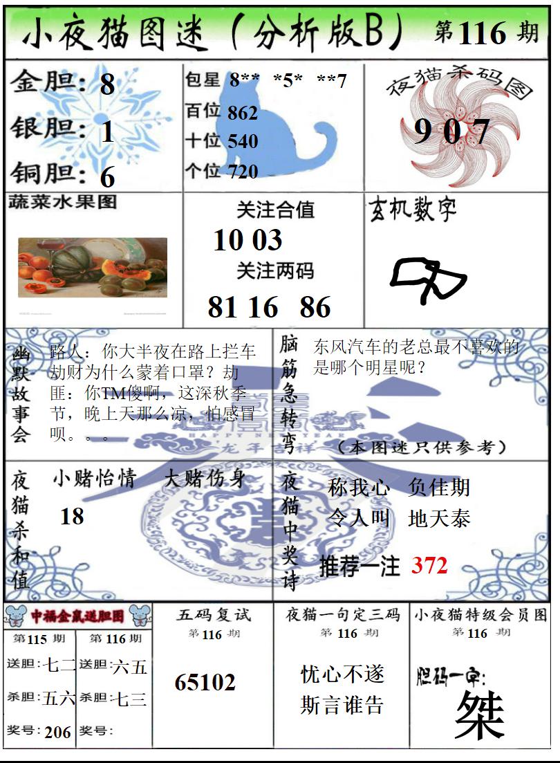 真小猫B