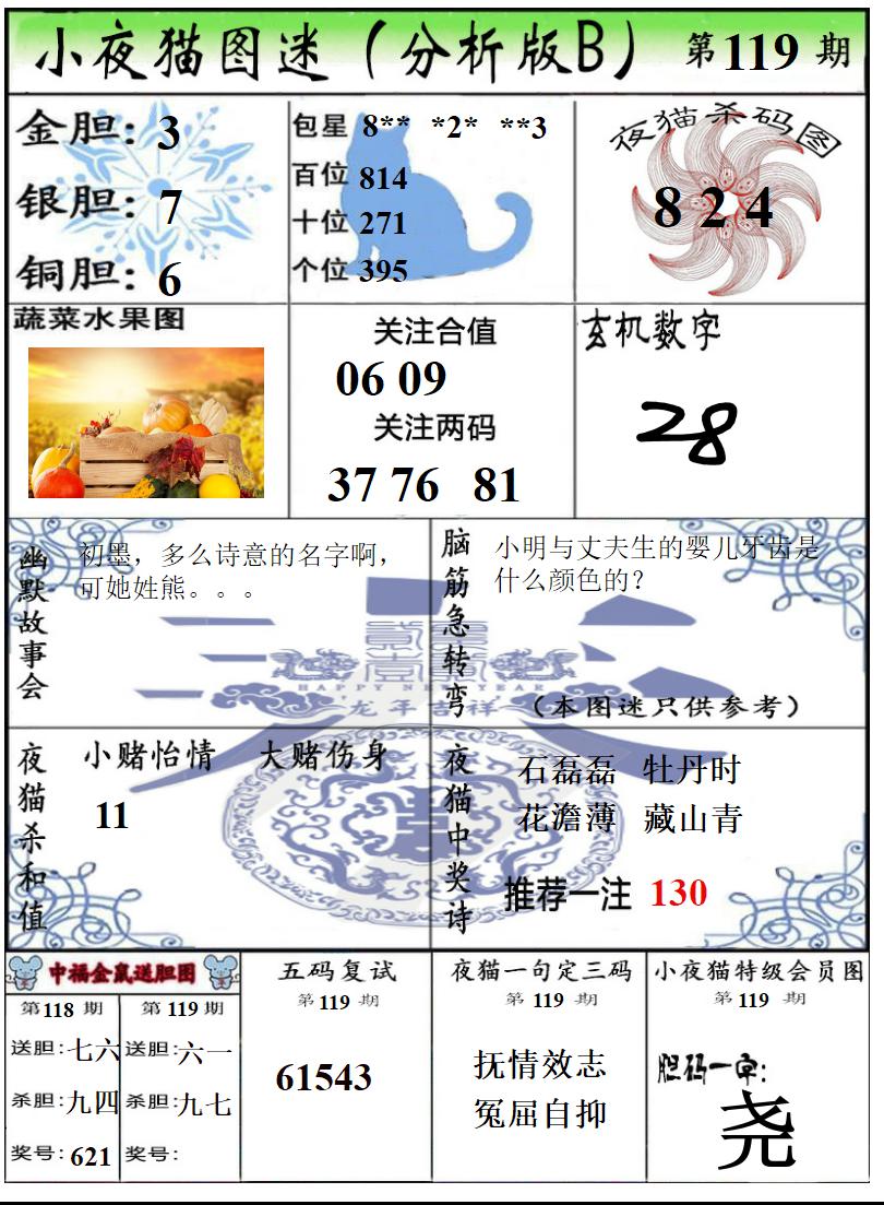 真小猫B